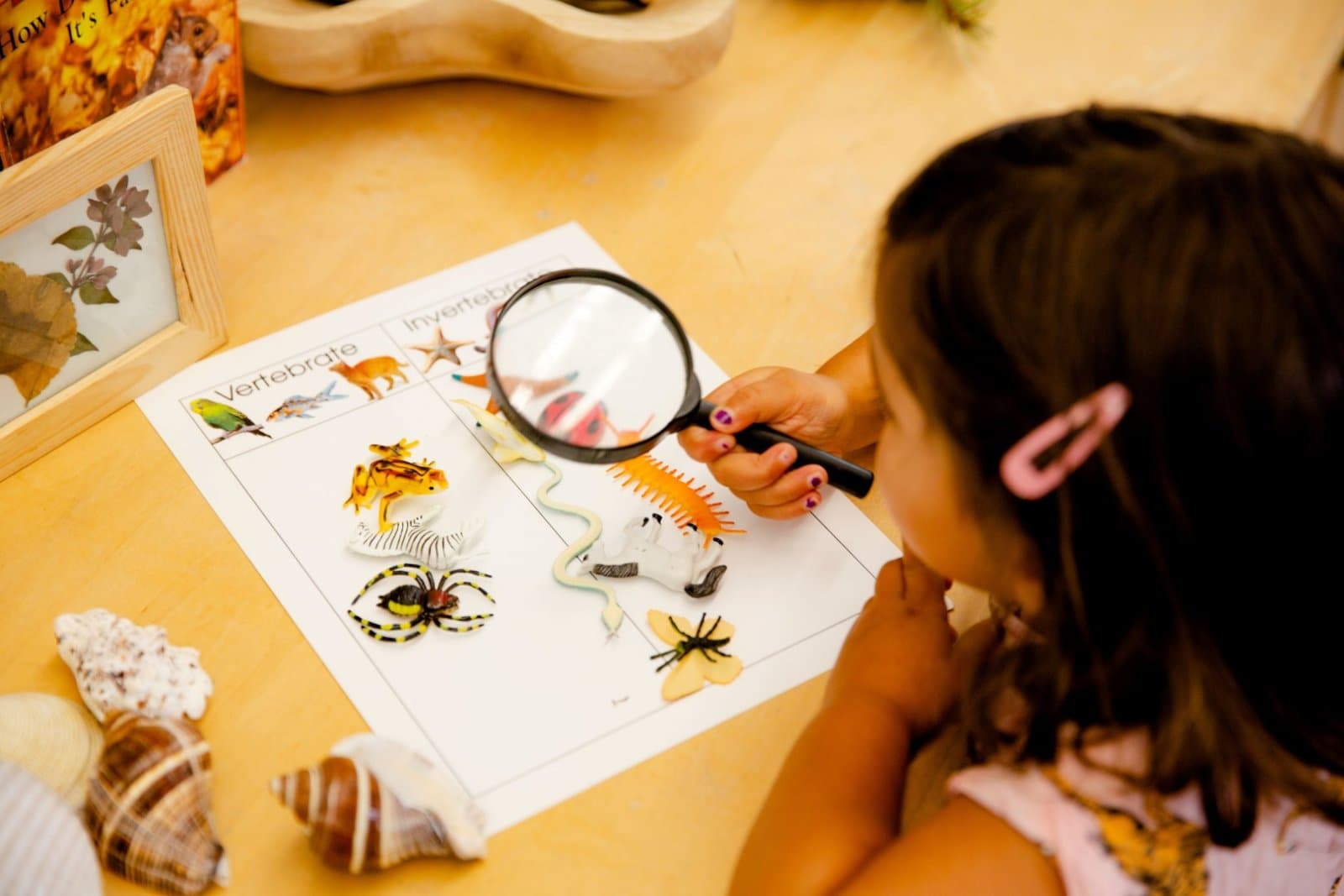 Mosaic Montessori Preschool